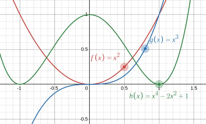 Graph showing several polynomial functions: $f(x) = x^2$, $g(x) = x^3$, $h(x) = x^4 - 2x^2 + 1$ 